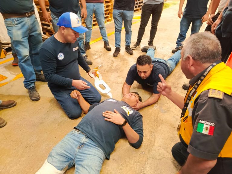 Imagen de WhatsApp 2025-11-10 a las 11.16.15_13320804