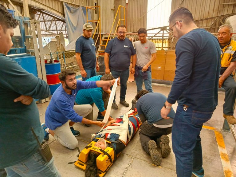 Imagen de WhatsApp 2025-11-10 a las 11.16.15_a95ada0a