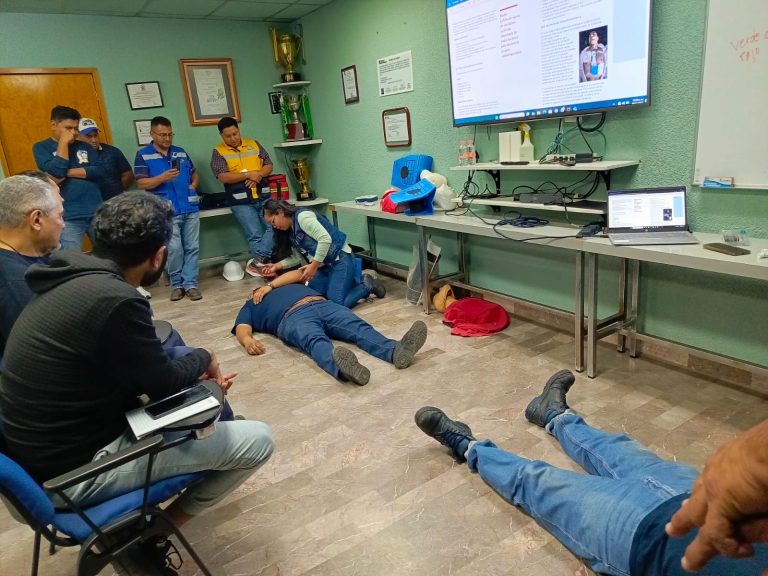 Imagen de WhatsApp 2025-11-10 a las 11.16.15_c7dae390